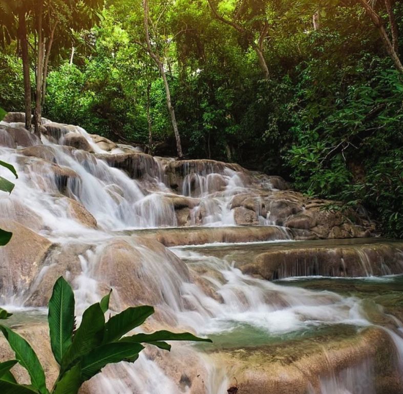 The terraced limestone cascade of Dunn's River Falls running through rainforest