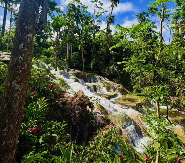 Water sheeting over the travertine tiers at Dunn's River Falls in Jamaica
