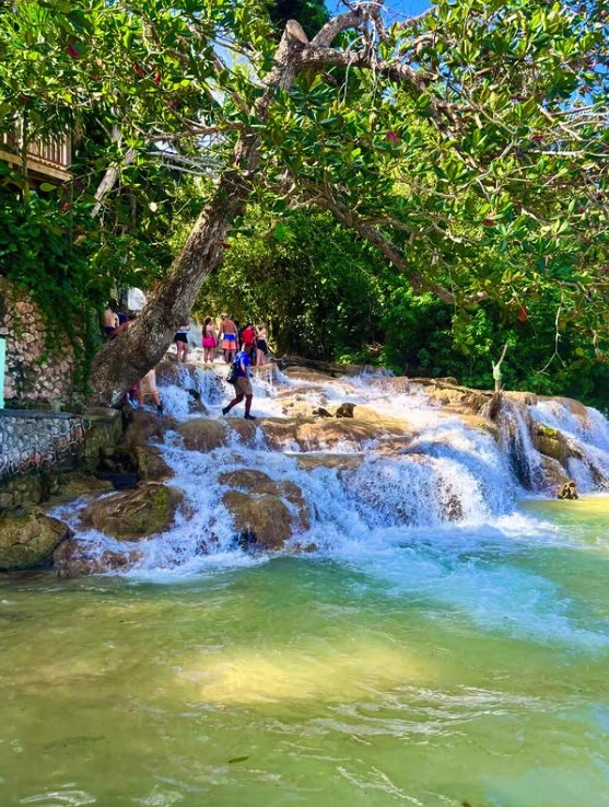 Montego Bay to Dunn's River Falls
