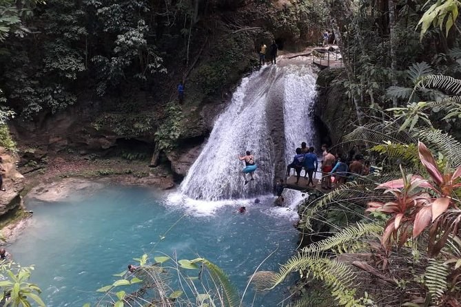 Ocho Rios Blue Hole and Dunn's River Falls Tour